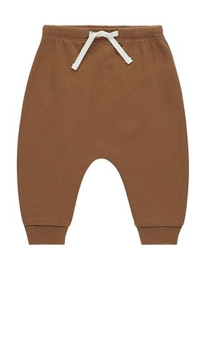 PANTALON SWEAT in . Size 18-24M, 4-5yr - QUINCY MAE - Modalova