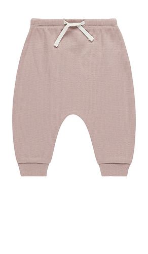 PANTALON SWEAT in . Size 18-24M, 4-5yr - QUINCY MAE - Modalova