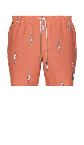 Shorey 16 Swim Short in . Size M, XL/1X - ROARK - Modalova