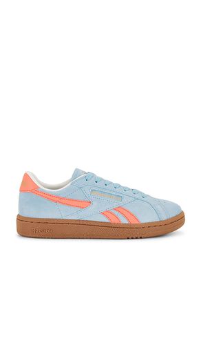 SNEAKERS CLUB C GROUNDS UK in . Size 6, 6.5, 7.5, 8, 9.5 - Reebok - Modalova