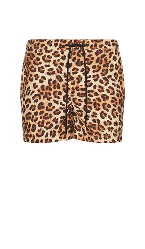 Amalfi Boardshort in Leopard in . Size M, S, XL/1X - Runaway The Label - Modalova