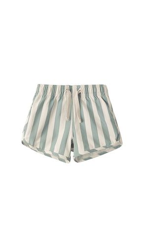 MAILLOT DE BAIN en . Taille 12-18M. Also en 18-24M - Rylee + Cru - Modalova