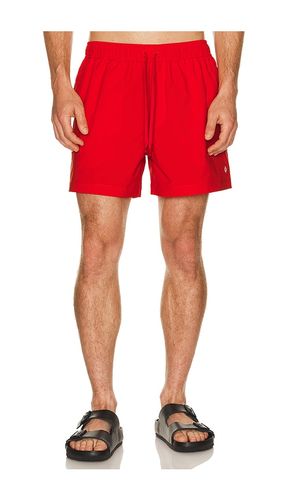 SHORT en . Taille L. Also en M, S, XL/1X, XXL/2X - SAMSOE SAMSOE - Modalova