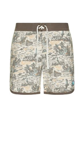 BOARDSHORT POINT BAR in . Size 32, 33, 34, 36 - Sendero Provisions Co. - Modalova