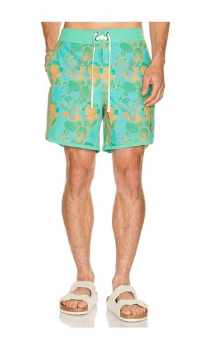 Point Bar Boardshort en . Taille 30. Also en 32, 34, 36 - Sendero Provisions Co. - Modalova