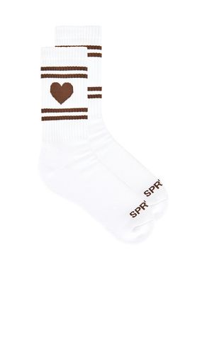 CHAUSSETTES AVEC LOGO en - SPRWMN - Modalova