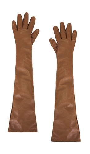 The Garment GANTS TG en Brown - The Garment - Modalova