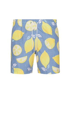 SHORT DE BAIN SANO in . Size M, S, XL/1X - Trunks Surf & Swim Co. - Modalova