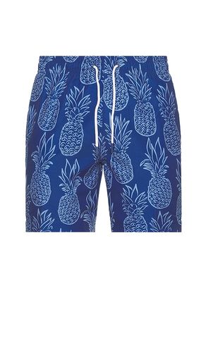 SHORT DE BAIN SANO in . Size M, S, XL/1X - Trunks Surf & Swim Co. - Modalova