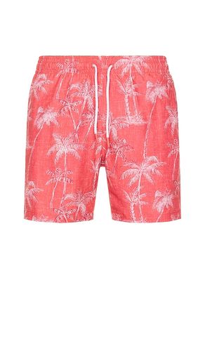 SHORT DE BAIN SANO in . Size M, S, XL/1X - Trunks Surf & Swim Co. - Modalova