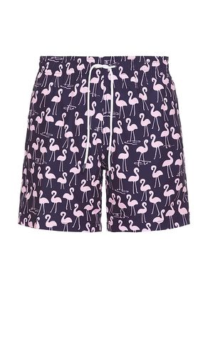 SHORT DE BAIN SANO en . Taille L. Also en M, S, XL/1X - Trunks Surf & Swim Co. - Modalova