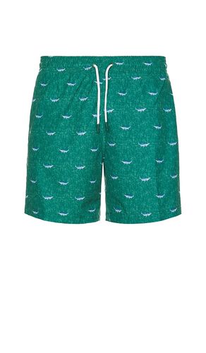 SHORT DE BAIN SANO in . Size M, S, XL/1X - Trunks Surf & Swim Co. - Modalova