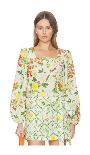 Square Neck Crop Blouse en ,. Taille S. Also en XS, M, L, XL - Verandah - Modalova