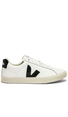 SNEAKERS ESPLAR in . Size 36, 37, 38, 39, 40, 41 - Veja - Modalova