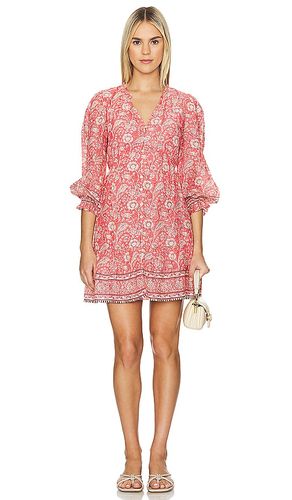 ROBE COURTE MARY in . Size XS - Velvet by Graham & Spencer - Modalova