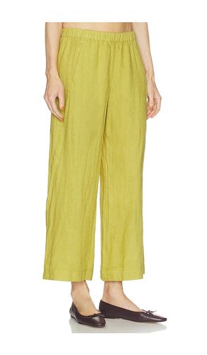 Lola Woven Linen Pant en . Taille M. Also en S - Velvet by Graham & Spencer - Modalova