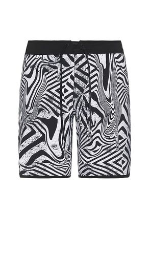 SHORT DE BAIN INFUSE SCALLOP in . Size 31, 32, 33, 34, 36 - Volcom - Modalova