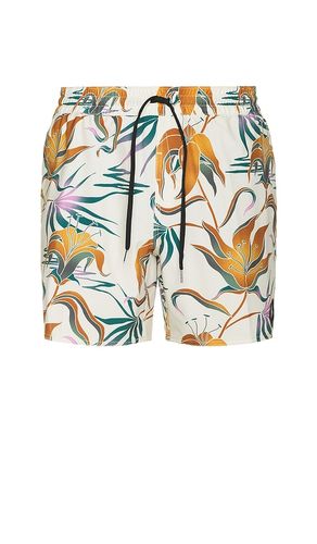 SHORT DE BAIN LIDO in . Size M, S, XL/1X - Volcom - Modalova