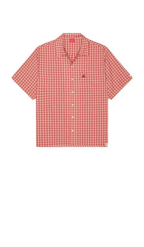 CHEMISE GLAZED en . Taille L. Also en XL/1X - Worship Supplies - Modalova