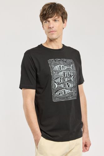 T-shirt poisson - coton léger - ARMOR LUX FR - Modalova