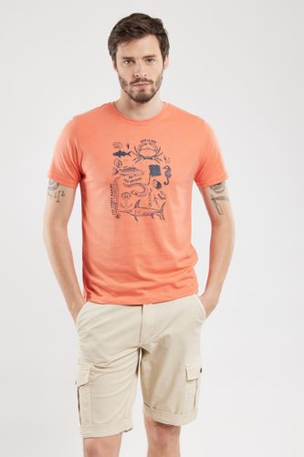 T-shirt sérigraphié - coton léger - ARMOR-LUX - Modalova