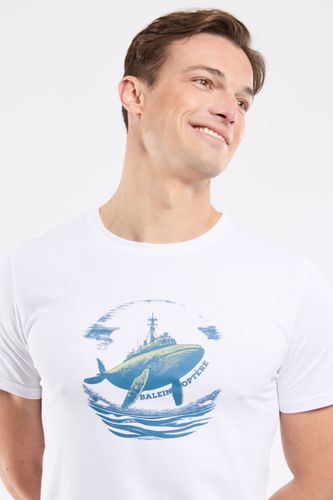 T-shirt sérigraphié - coton léger - ARMOR LUX FR - Modalova