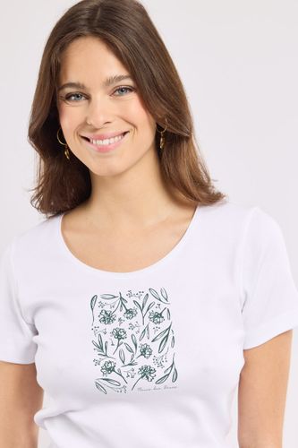 T-shirt sérigraphié - coton léger - ARMOR LUX FR - Modalova
