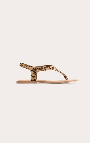 Leopard Sandales Tongs En Poil De Poney | Taille 38 - PrettyLittleThing - Modalova