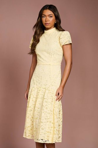Robe Mi-longue Col Montant à Manches Volantées en Dentelle | Taille 46 - Coast - Modalova