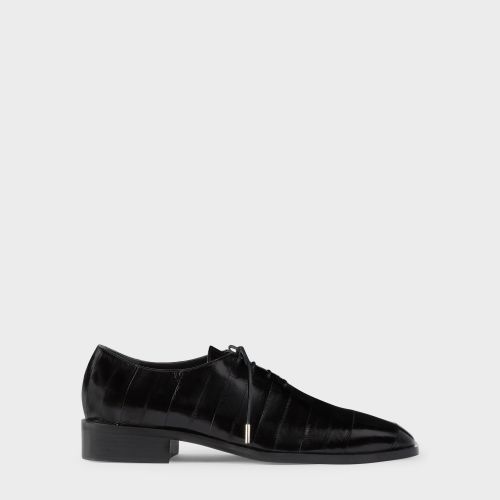 Giuseppe Zanotti SEBHASTIAN - Giuseppe Zanotti - Modalova
