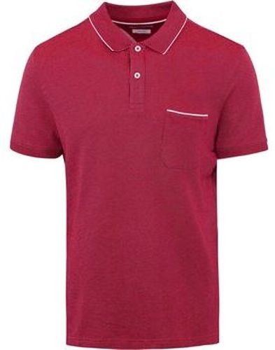 T-shirt Polo Paddy Fuchsia Rose - Brax - Modalova