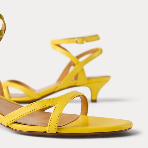 Sandales Clarke en vachette - Collection - Modalova