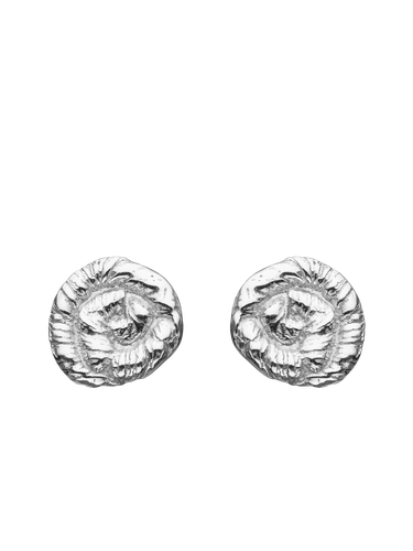 Nautilus Earrings - Earrings - Eva Remenyi - Modalova