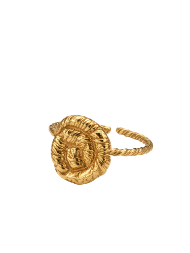 Nautilus Ring Gold - Eva Remenyi - Modalova