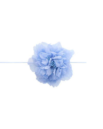 Blue Peony - YVON - Modalova