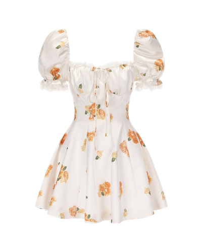 Theodora Dress (Floral) | Women's Mini dresses - Nana Jacqueline - Modalova