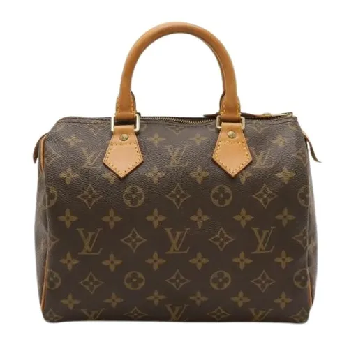 Pre-owned > Pre-owned Bags > Pre-owned Handbags - - Louis Vuitton Vintage - Modalova