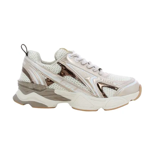 Shoes > Sneakers - - Steve Madden - Modalova