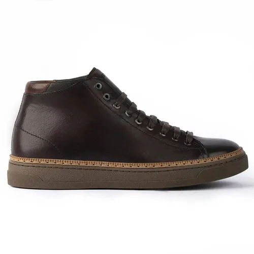 Exton - Shoes > Sneakers - Brown - Exton - Modalova