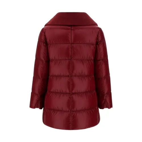 Jackets > Winter Jackets - - Herno - Modalova