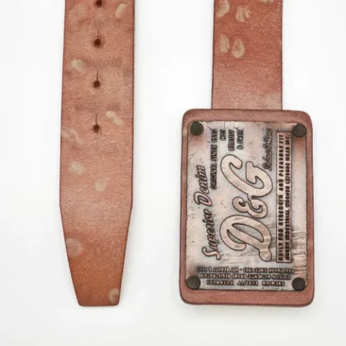 Pre-owned > Pre-owned Accessories > Pre-owned Belts - - Dolce & Gabbana Pre-owned - Modalova