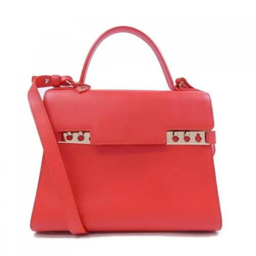 Pre-owned > Pre-owned Bags > Pre-owned Handbags - - Delvaux Pre-owned - Modalova