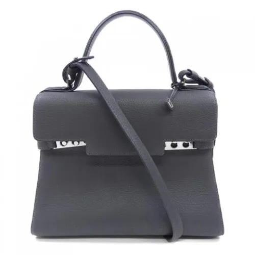 Pre-owned > Pre-owned Bags > Pre-owned Handbags - - Delvaux Pre-owned - Modalova
