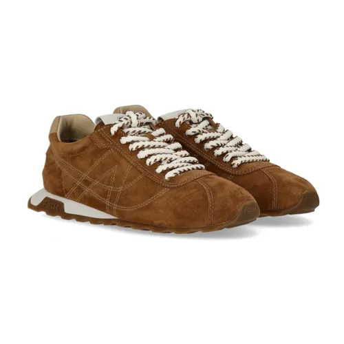 ASH - Shoes > Sneakers - Brown - ASH - Modalova