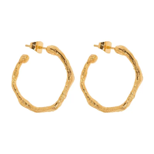 Accessories > Jewellery > Earrings - - Forte Forte - Modalova