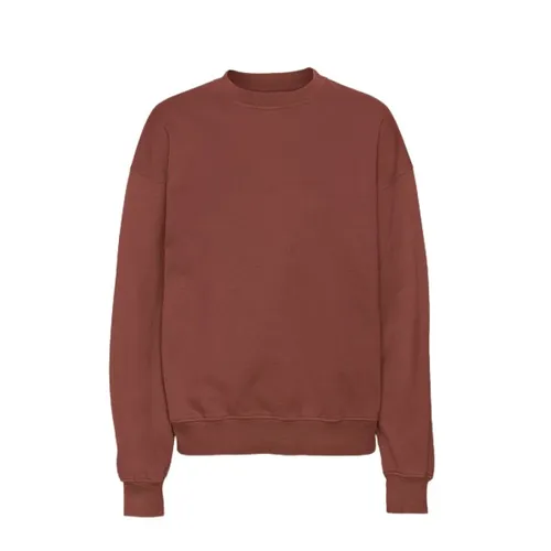 Sweatshirts & Hoodies > Sweatshirts - - Colorful Standard - Modalova