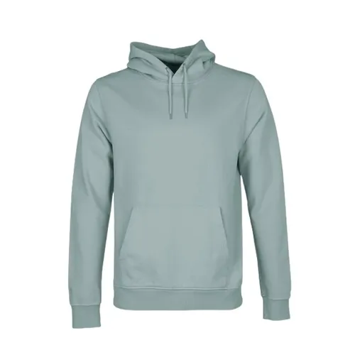 Sweatshirts & Hoodies > Hoodies - - Colorful Standard - Modalova