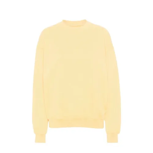 Sweatshirts & Hoodies > Sweatshirts - - Colorful Standard - Modalova