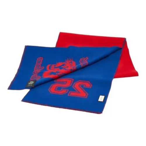 Pre-owned > Pre-owned Accessories > Pre-owned Scarves - - Gucci Vintage - Modalova