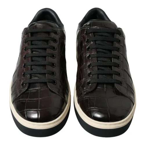 Shoes > Sneakers - - Dolce & Gabbana - Modalova